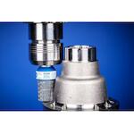 pferd_43214122_3