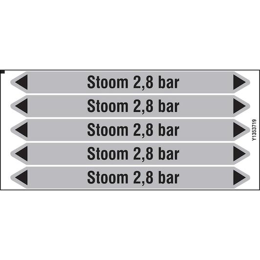 brady_n005636