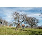 metabo_601727850_3