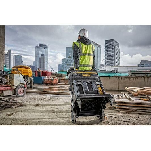 dewalt_dwst82990_1
