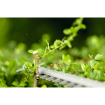 bosch_06008d5100_12