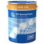 skf_lghb218
