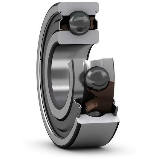 skf_6009_2ztn9hc5c3wt