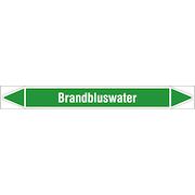brady_n005799