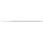 pferd_11038203