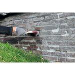 rectavit_114587_2