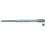 fischer_59062