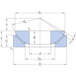 skf_gx17f_2