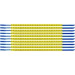 brady_333013