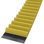 conti_ctd892021scc