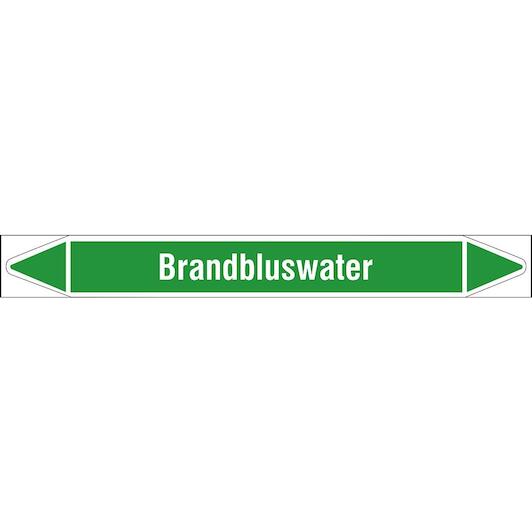 brady_n005800