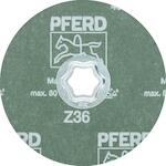 pferd_64290103_2