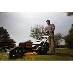 dewalt_dcmwp134n_xj_12