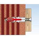 fischer_535462_11