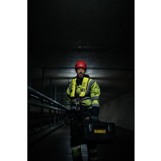 dewalt_dwst83294_1_5