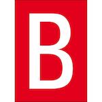 brady_911134