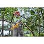 dewalt_dcmcs575n_xj_5