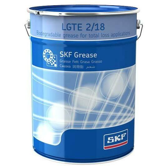 skf_lgte218
