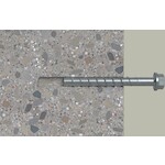 fischer_536861_9