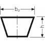 conti_4l0550_2