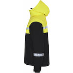 projob_647415_9910_4_6