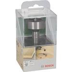 bosch_2609255291
