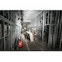 milwaukee_4933471844