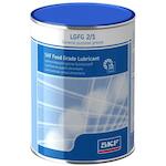skf_lgfg21