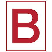 brady_252518