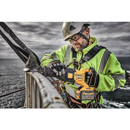 dewalt_dcs389x2_qw