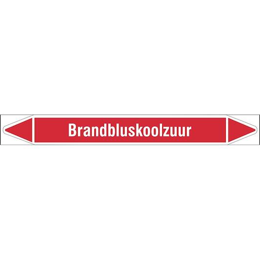 brady_n003992