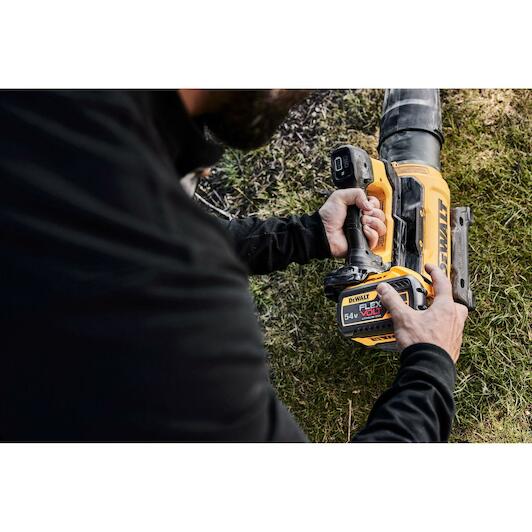 dewalt_dcmbl777x1_qw