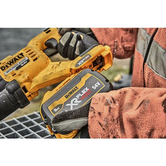 dewalt_dcs389x2_qw