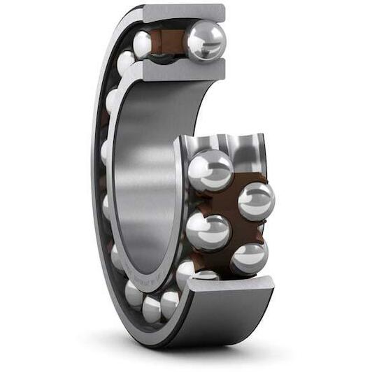 skf_2304tn9