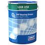 skf_lggb218