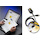 Category Fluke software