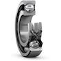 skf_6009_rs1