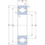 skf_6304_2zva208_2