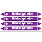 brady_n003923