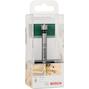 bosch_2609255284