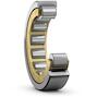 skf_rnu1017ma
