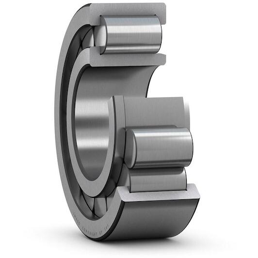 skf_nj2004evc3