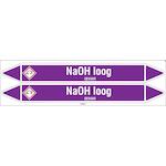 brady_n003914