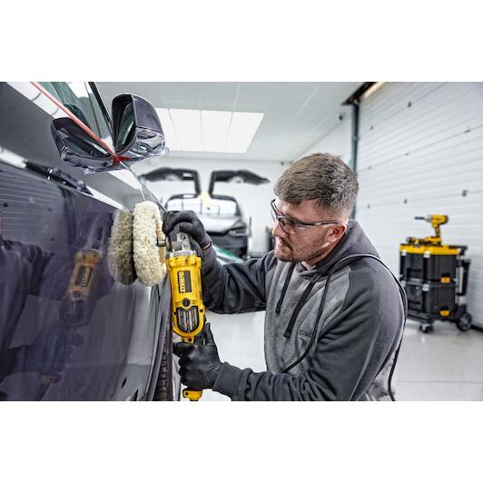 dewalt_dwp849x_qs