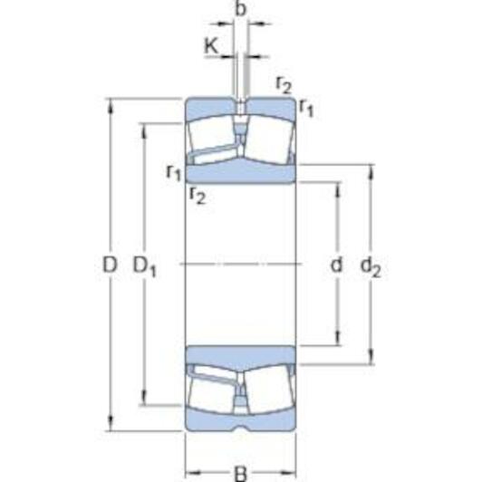 skf_22316ec3_2