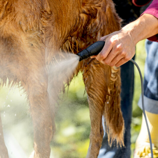 karcher_26438750_3
