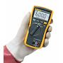 fluke_3088053_2