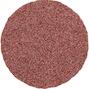 pferd_42770212_2