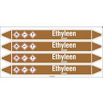 brady_n005152