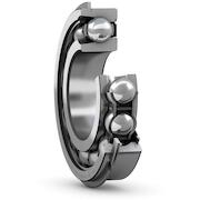 skf_309_znr